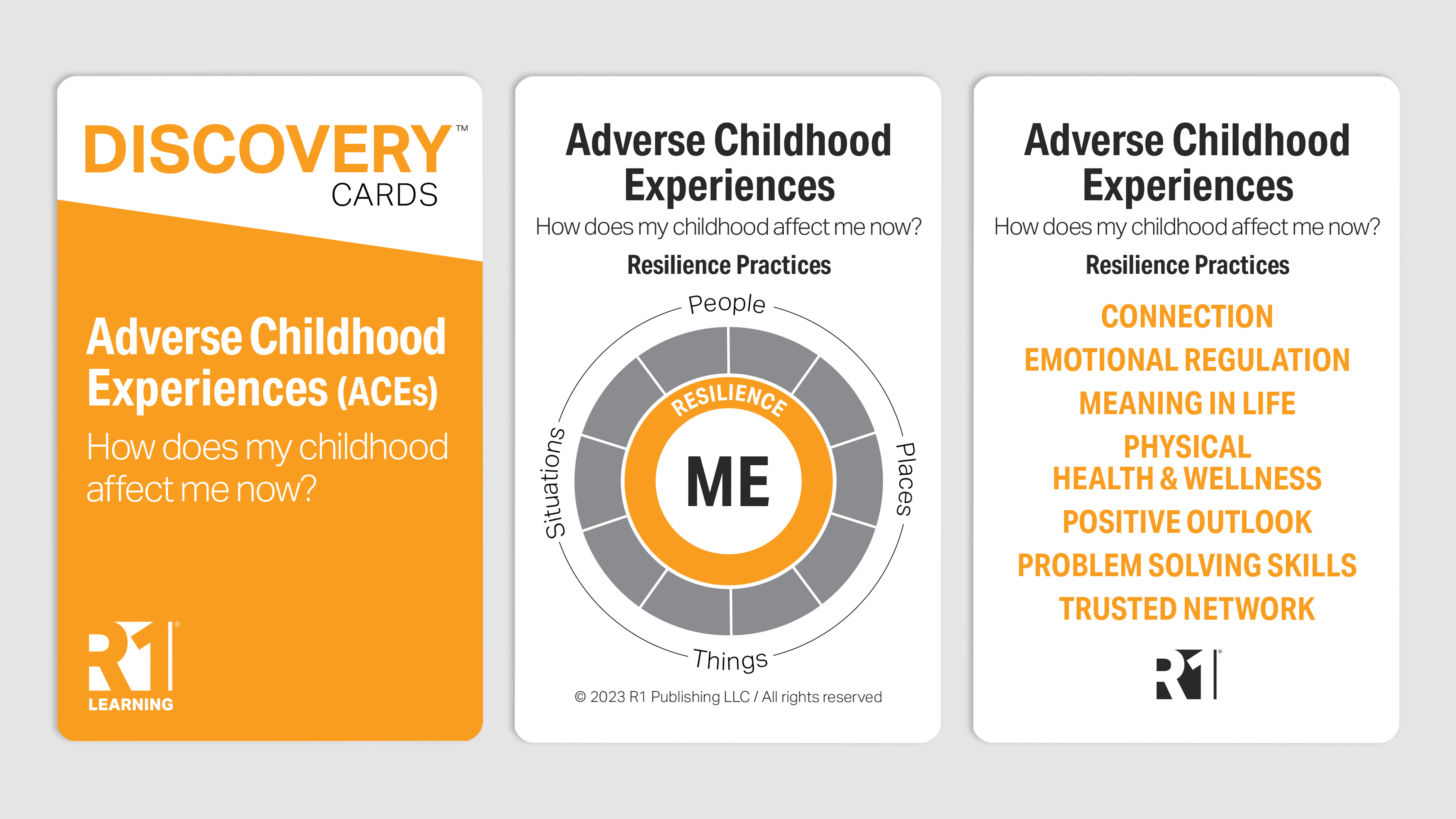 Explore the Resilience Practices Model